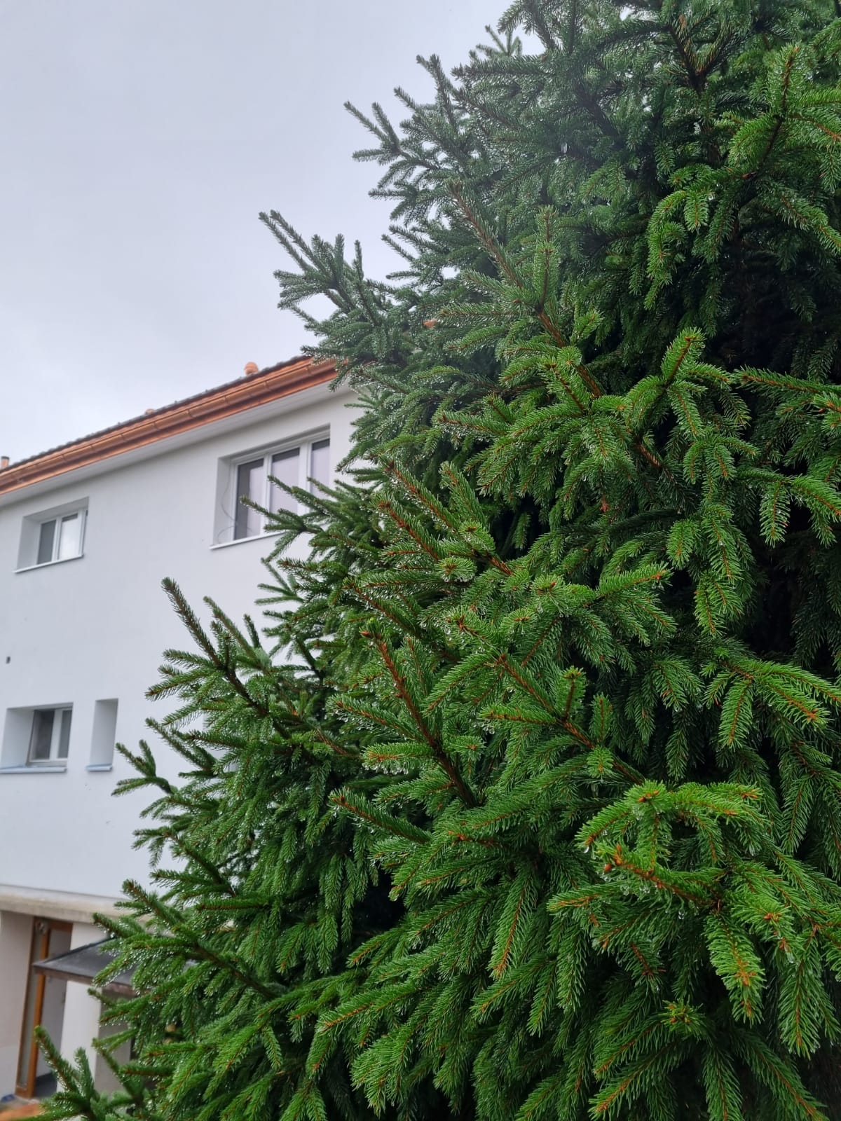 Superbe Appartement de 5.5 Pièces Neuf à Savigny dans villa