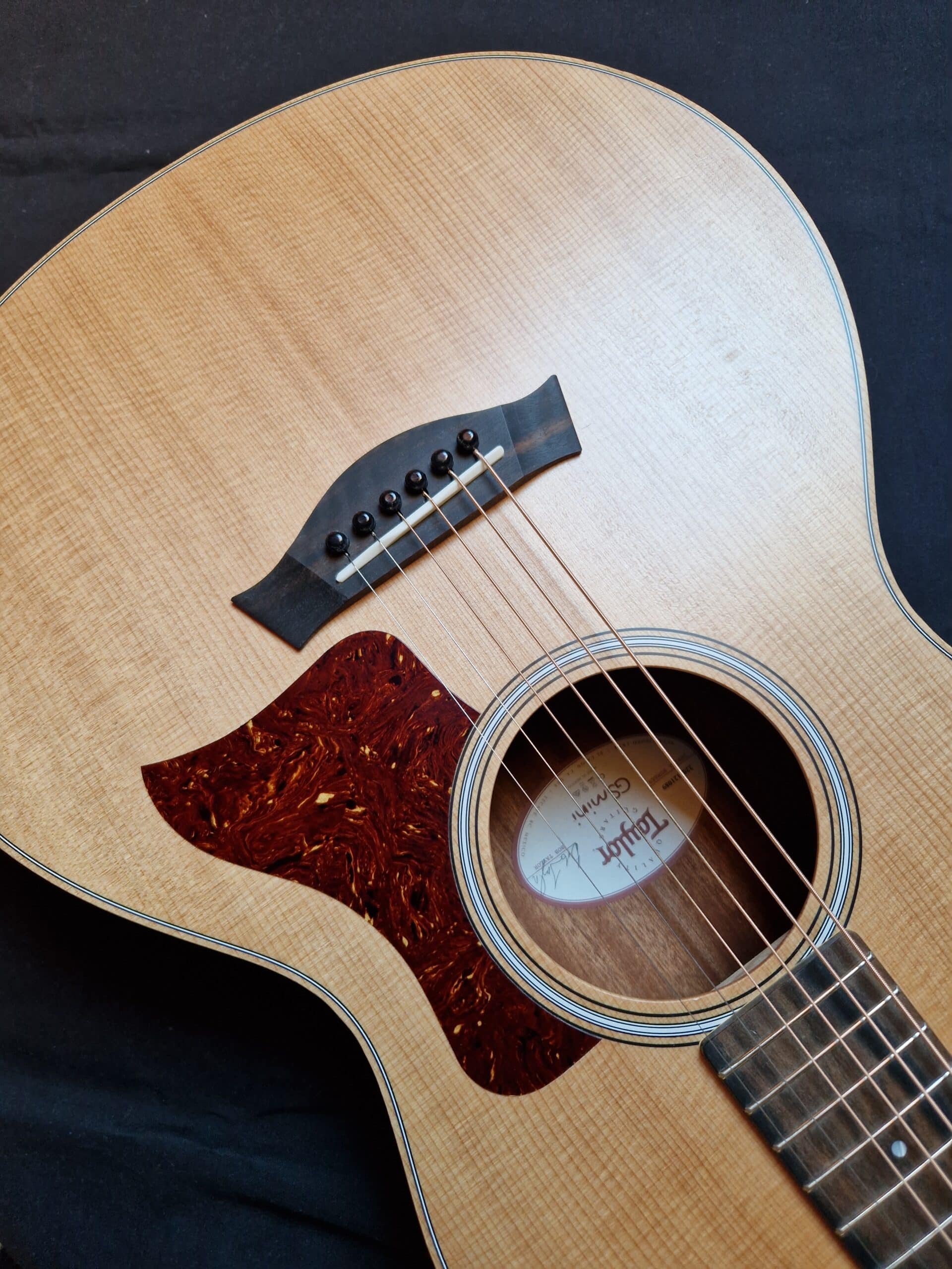 Superbe guitare acoustique Taylor GSmini.