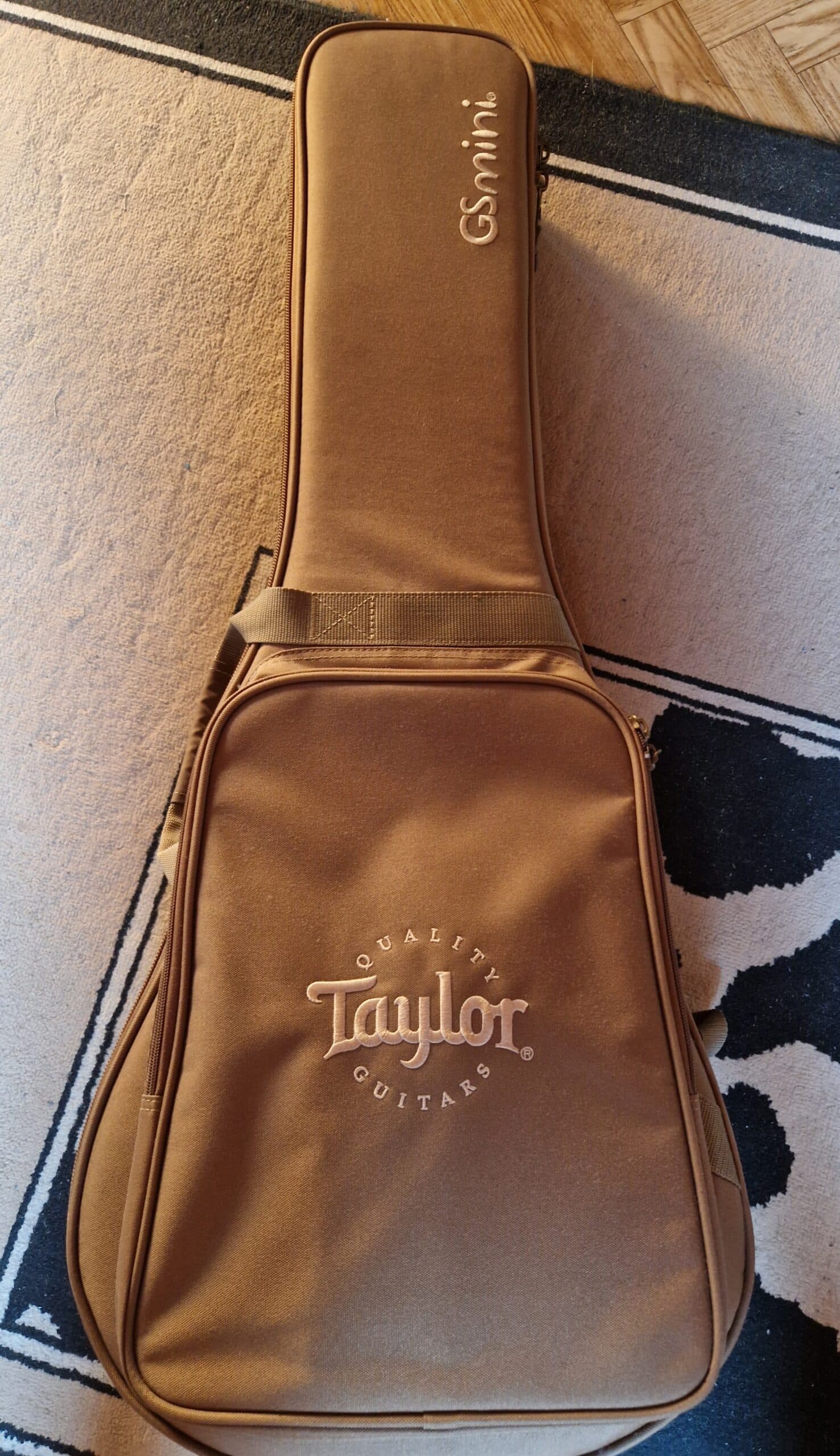 Superbe guitare acoustique Taylor GSmini.