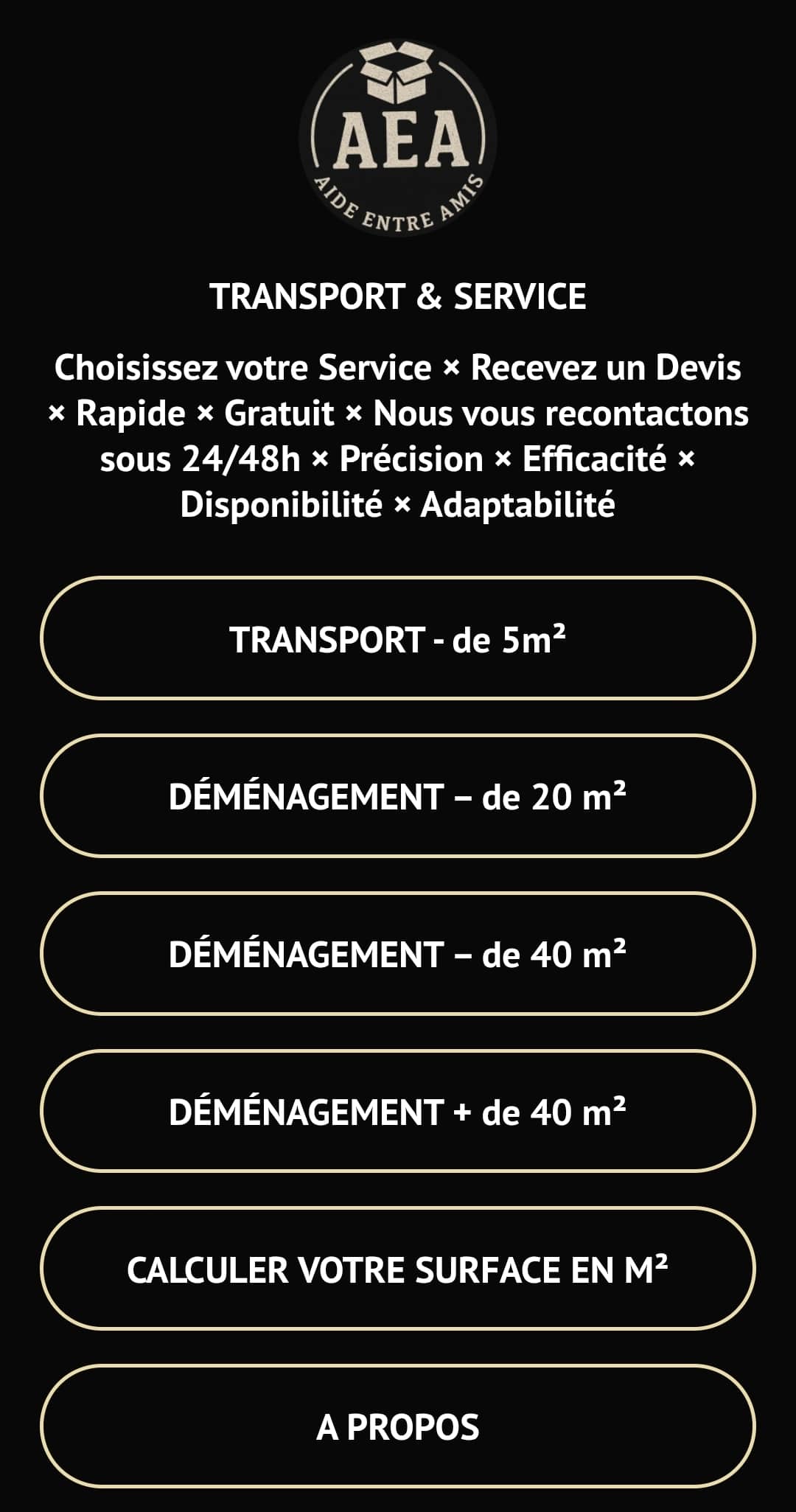 AEA ¦ Transport & Services à Vevey | Rapide, Précis & Aidant