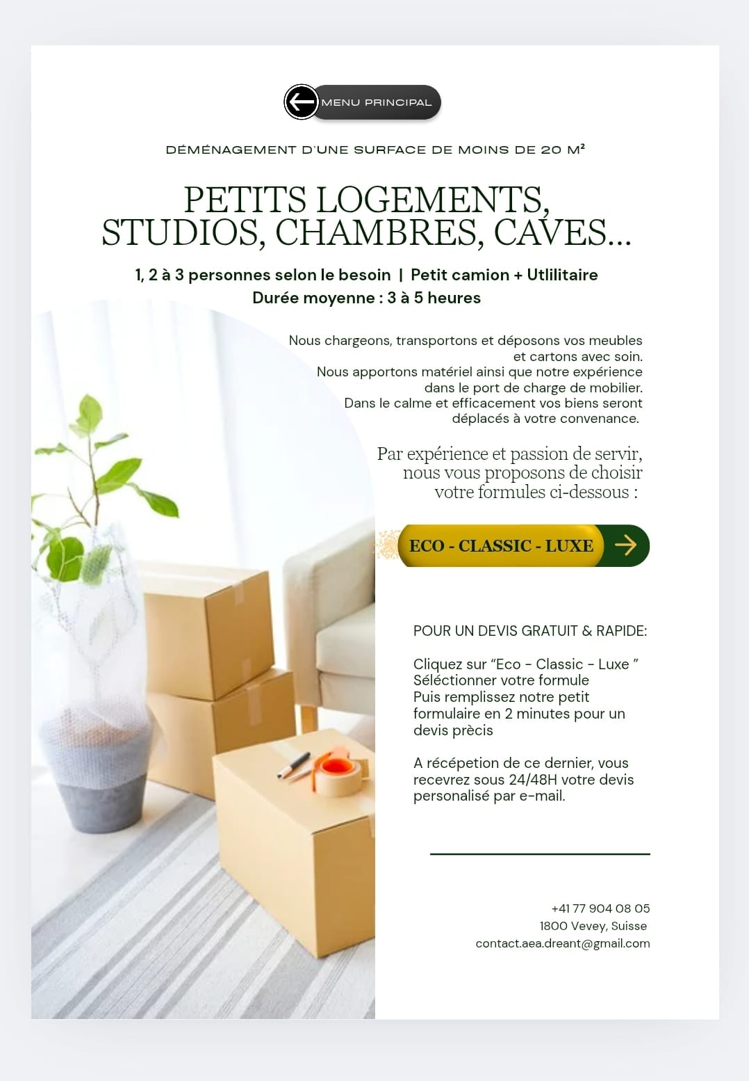 AEA ¦ Transport & Services à Vevey | Rapide, Précis & Aidant