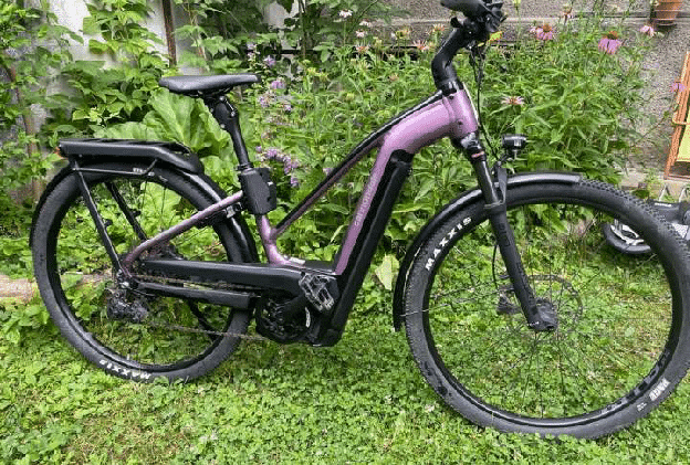 E-Bike – Gratisgeschenk