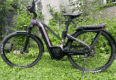 E-Bike – Gratisgeschenk