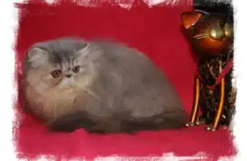 ebddcb4f8c3aa45e67e5c92939dcd34d-hellaa1