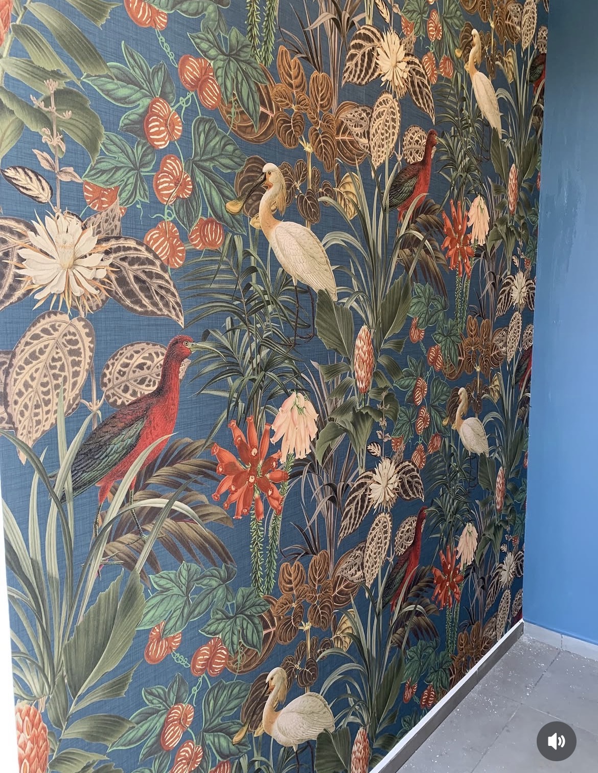 Pose de papier peint