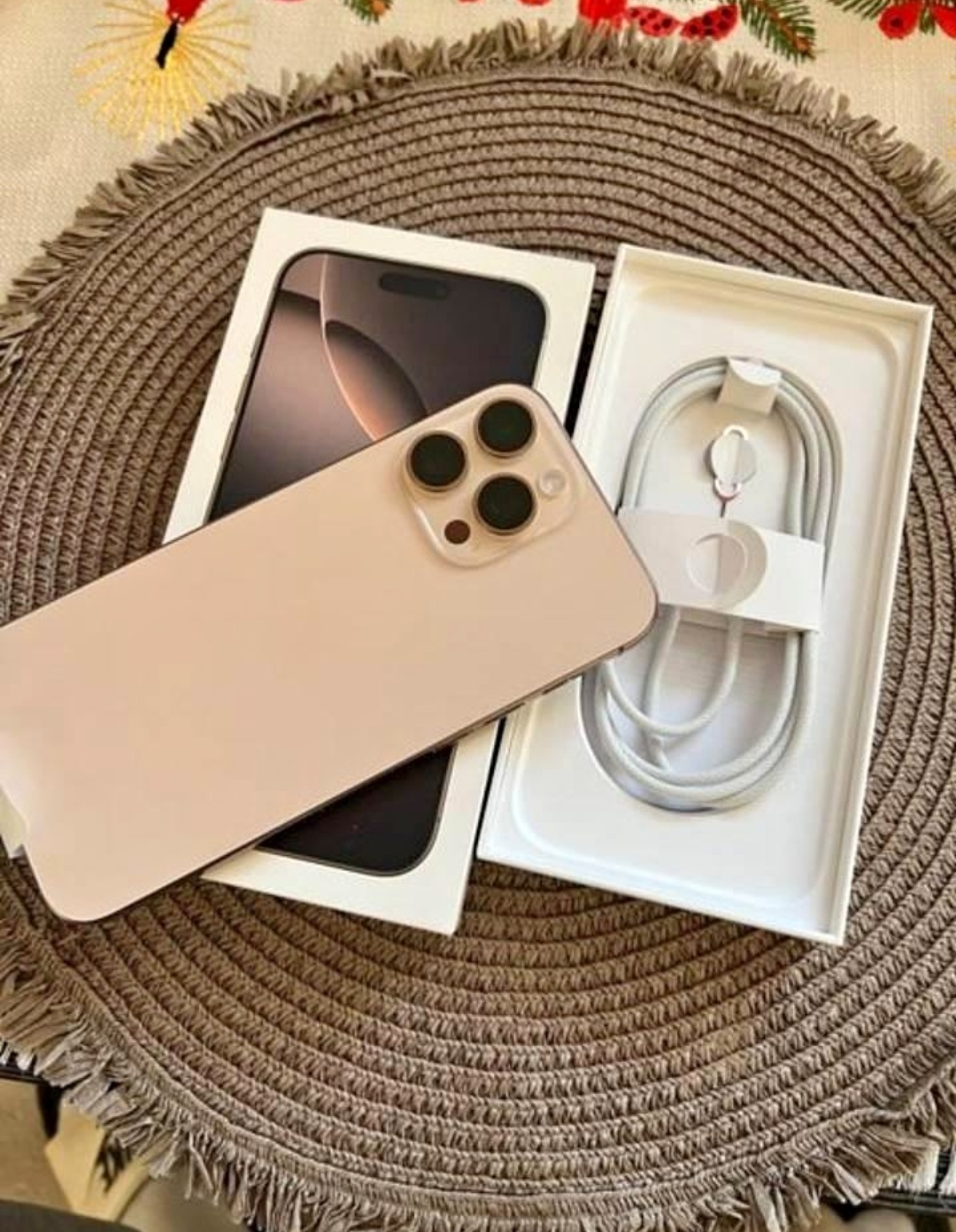 iPhone 16 Pro Max mit 256GB