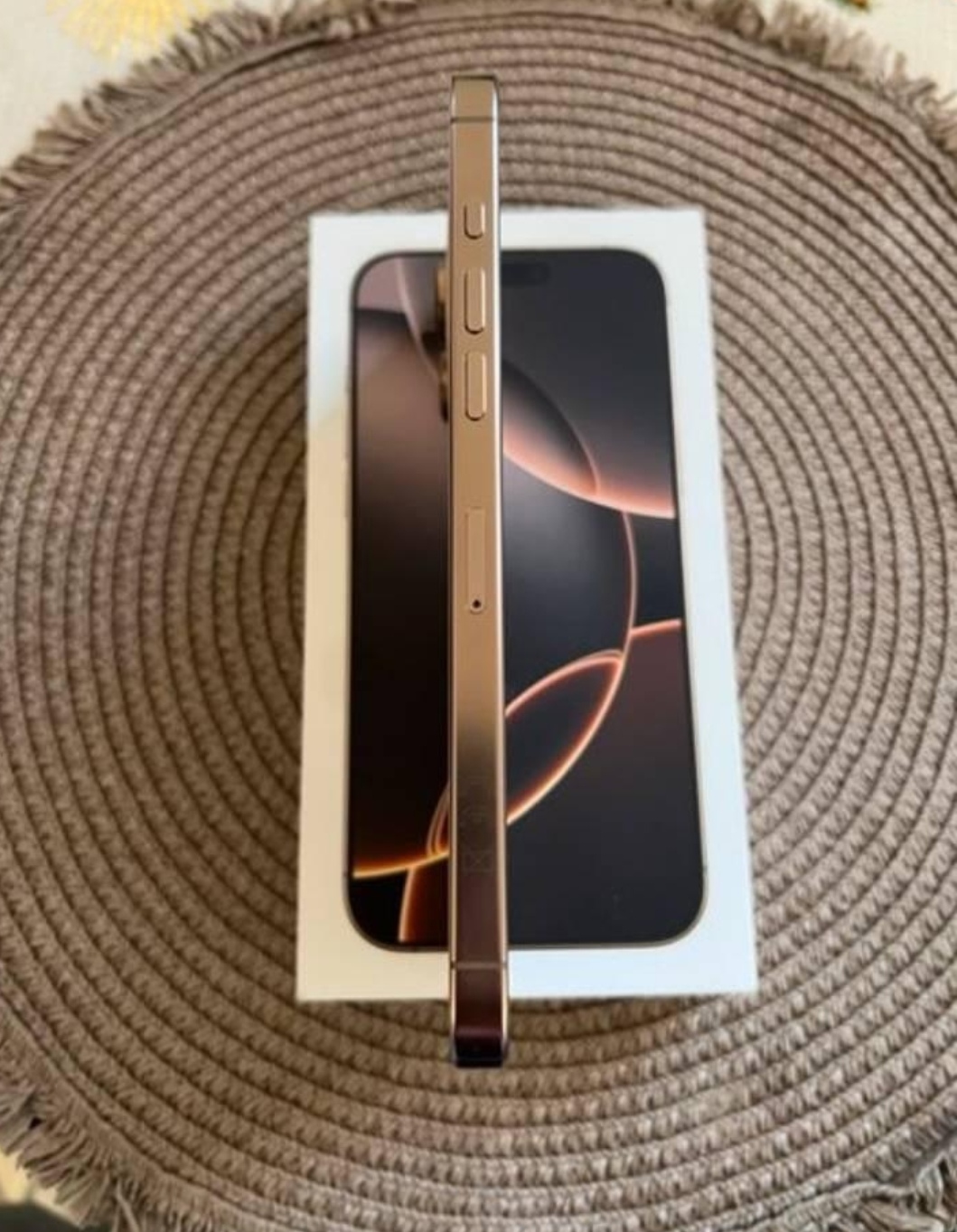 iPhone 16 Pro Max mit 256GB